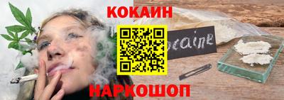 jwh Бийск